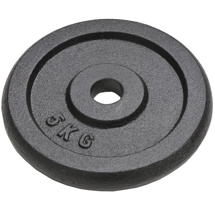 Vidaxl halterschijven 4 st 4x5 kg gietijzer