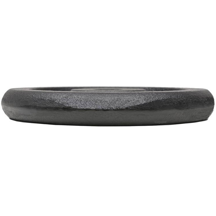 Vidaxl halterschijven 4 st 4x5 kg gietijzer