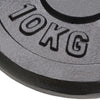 Vidaxl halterschijven 2 st 2x10 kg gietijzer
