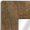 Vidaxl spiegel 50x80 cm massief mangohout