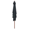 Vidaxl parasol met houten paal 200x300 cm antraciet