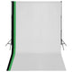 Vidaxl fotostudioset met 3 katoenen achtergronden en frame 3x5 m