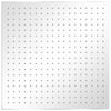 Vidaxl regendouchekop 2 st 50x50 cm roestvrij staal