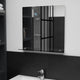 Vidaxl wandspiegel met schap 50x50 cm gehard glas
