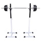Vidaxl halter- en gewichtenstandaard