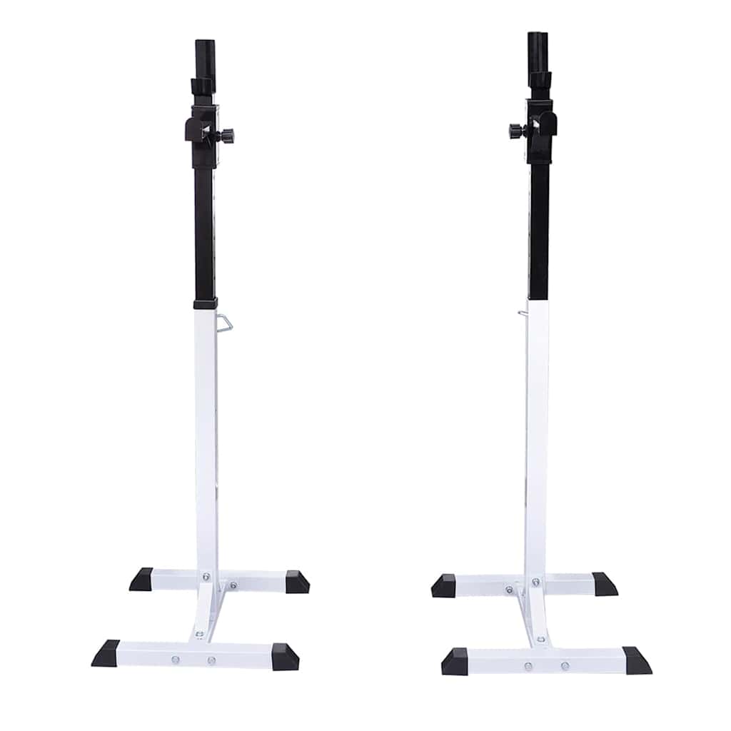 Vidaxl halter- en gewichtenstandaard