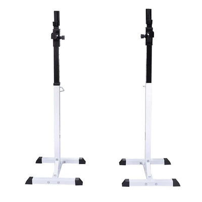 Vidaxl halter- en gewichtenstandaard