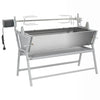 Vidaxl draaispit barbecue ijzer en roestvrij staal