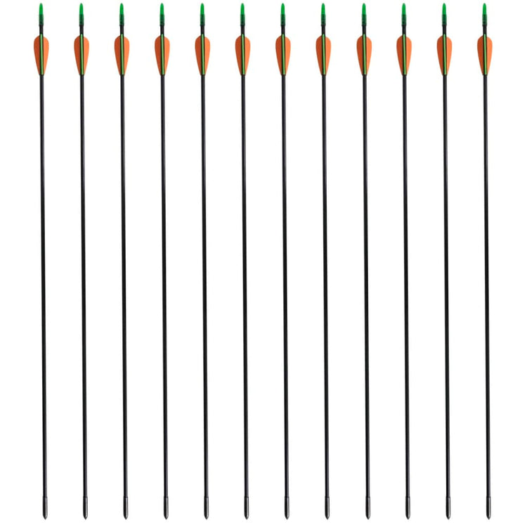 Vidaxl recurveboog standaard met pijlen 30 0,6 cm glasvezel 12 stuks