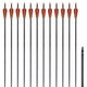 Vidaxl pijlen voor recurveboog standaard 30 0,76 cm koolstof 12 stuks