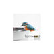 Farmwood animals pothanger vogel ijsvogel 10x8x5,5cm