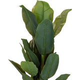 Overige merken kunstplant bananenboom 80x165 cm groen - afbeelding 2