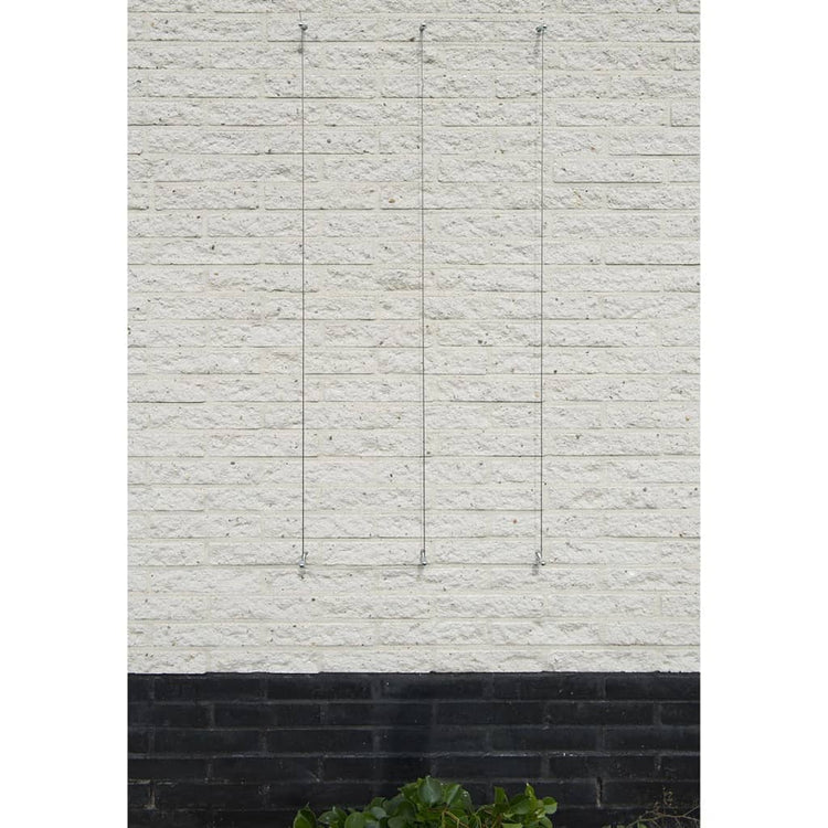Nature Nature Spandraadsytemen voor klimplanten 2 st