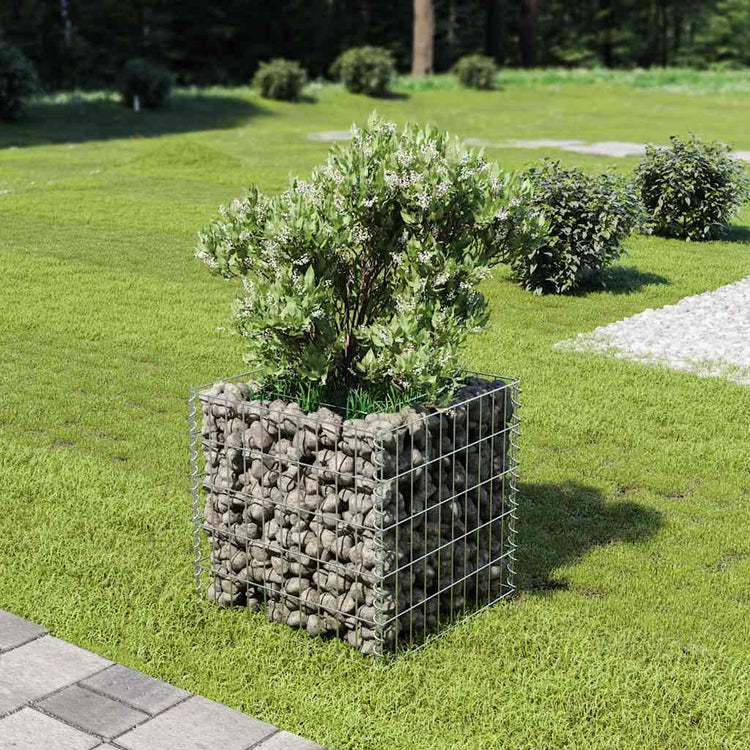 Vidaxl gabion plantenbak verhoogd 50x50x50 cm gegalvaniseerd staal