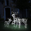 Vidaxl 3-delige kerstverlichting rendieren 229 led's