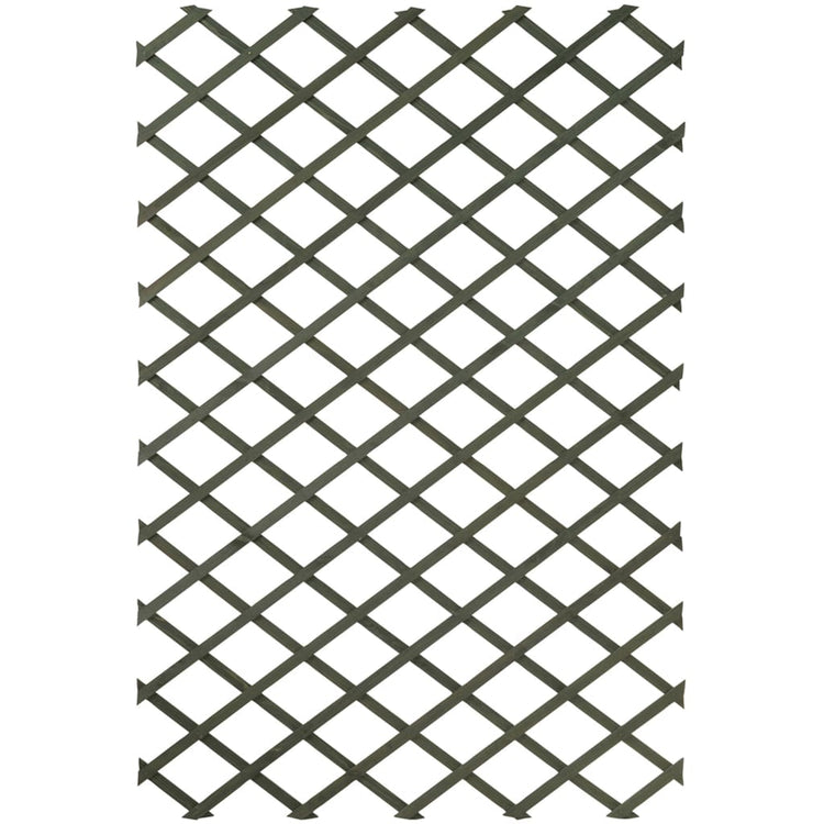 Nature Nature Tuinlatwerken 2 st 50x150 cm hout groen