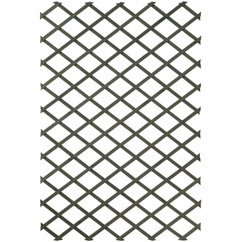Nature Nature Tuinlatwerken 2 st 50x150 cm hout groen