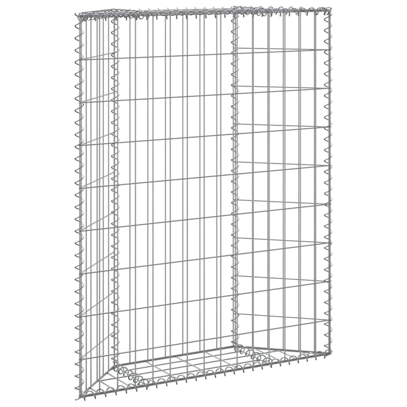 Vidaxl gabion plantenbak trapezium 80x20x100 cm gegalvaniseerd staal