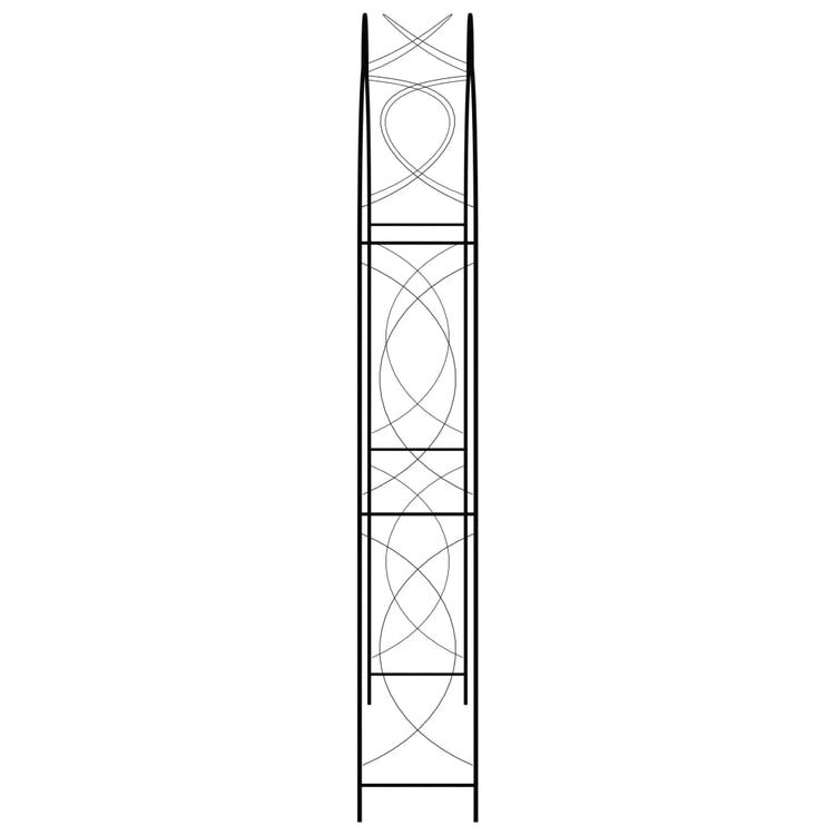 Vidaxl tuinboog 150x34x240 cm ijzer zwart