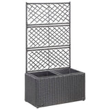 Vidaxl latwerkplantenbak verhoogd met potten 58x30x107 cm rattan zwart - afbeelding 1