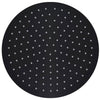 Vidaxl regendouchekop rond 30 cm roestvrij staal zwart
