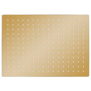 Vidaxl regendouchekop rechthoekig 40x30 cm roestvrij staal goudkleurig - afbeelding 2
