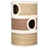 Vidaxl kattenkrabton 60 cm zeegras