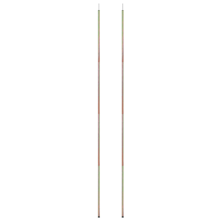 Vidaxl zonneschermpalen 2 st 250 cm gegalvaniseerd staal