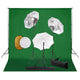 Vidaxl fotostudioset met lampen, paraplu's, achtergrond en reflector