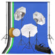 Vidaxl fotostudioset met lampen, paraplu's, achtergrond en reflector