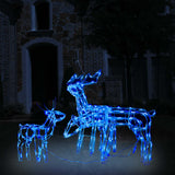 Vidaxl 3-delige kerstverlichting rendieren 229 led's - afbeelding 1
