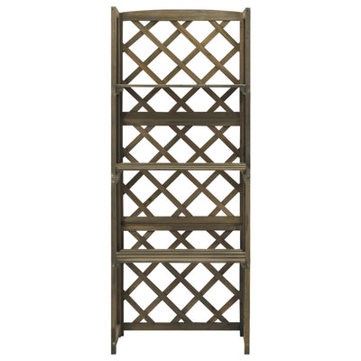 Vidaxl latwerk met schappen 55x30x140 cm massief vurenhout grijs