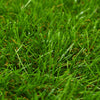 Vidaxl kunstgras 1x10 m 40 mm groen