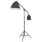 Vidaxl studioverlichtingsset met statief en softbox - afbeelding 2
