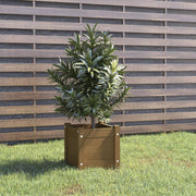 Vidaxl plantenbak 31x31x31 cm massief grenenhout honingbruin - afbeelding 1