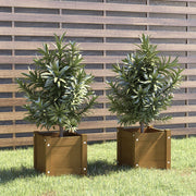 Vidaxl plantenbakken 2 st 31x31x31 cm massief grenenhout honingbruin - afbeelding 1