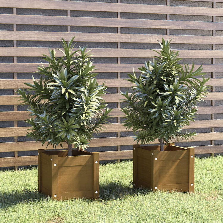 Vidaxl plantenbakken 2 st 31x31x31 cm massief grenenhout honingbruin