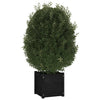 VidaXL Plantenbakken 2 st 40x40x40 cm massief grenenhout zwart