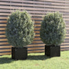 VidaXL Plantenbakken 2 st 40x40x40 cm massief grenenhout zwart