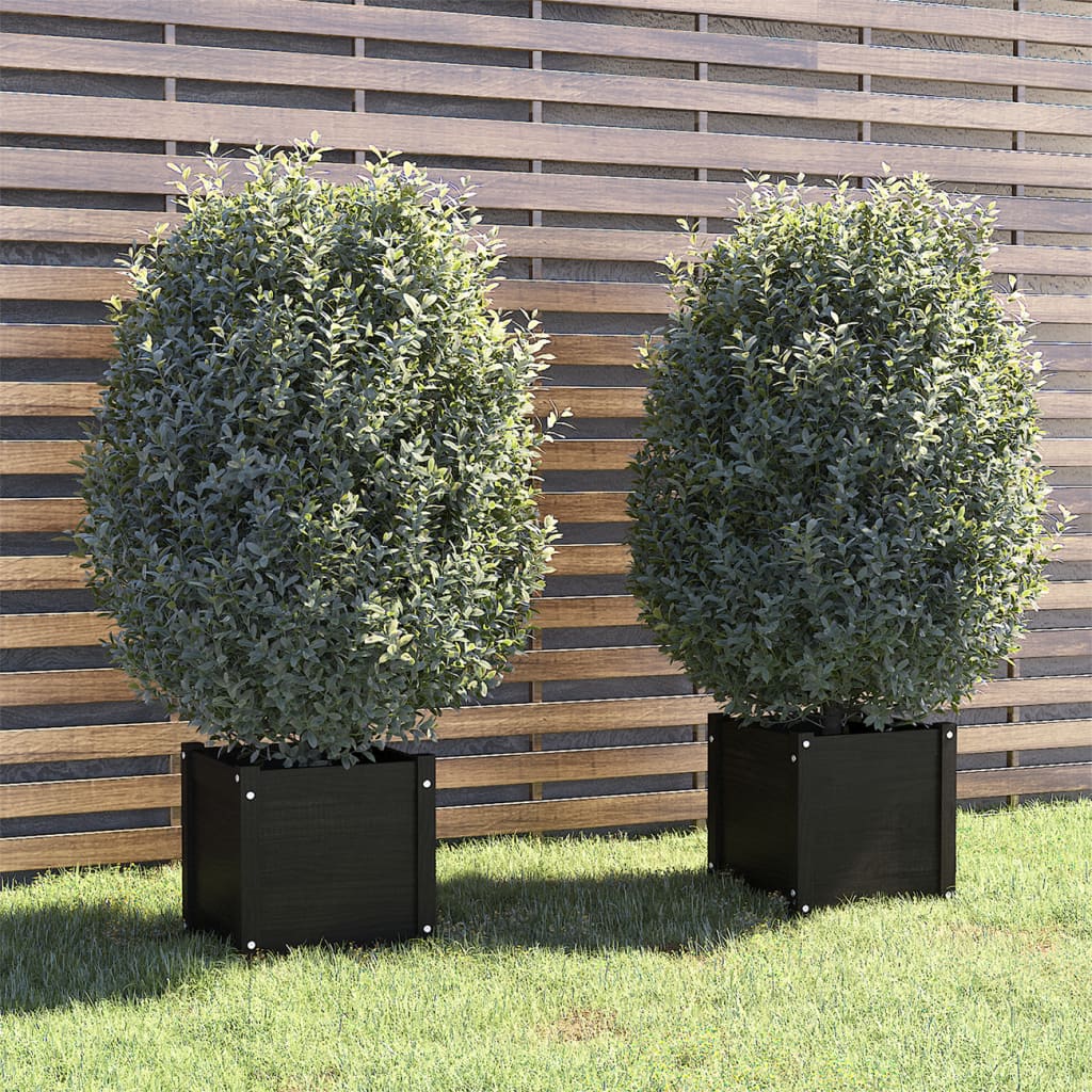 VidaXL Plantenbakken 2 st 40x40x40 cm massief grenenhout zwart