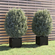 VidaXL Plantenbakken 2 st 40x40x40 cm massief grenenhout zwart - afbeelding 1