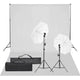 Vidaxl fotostudioset met verlichtingsset en achtergrond