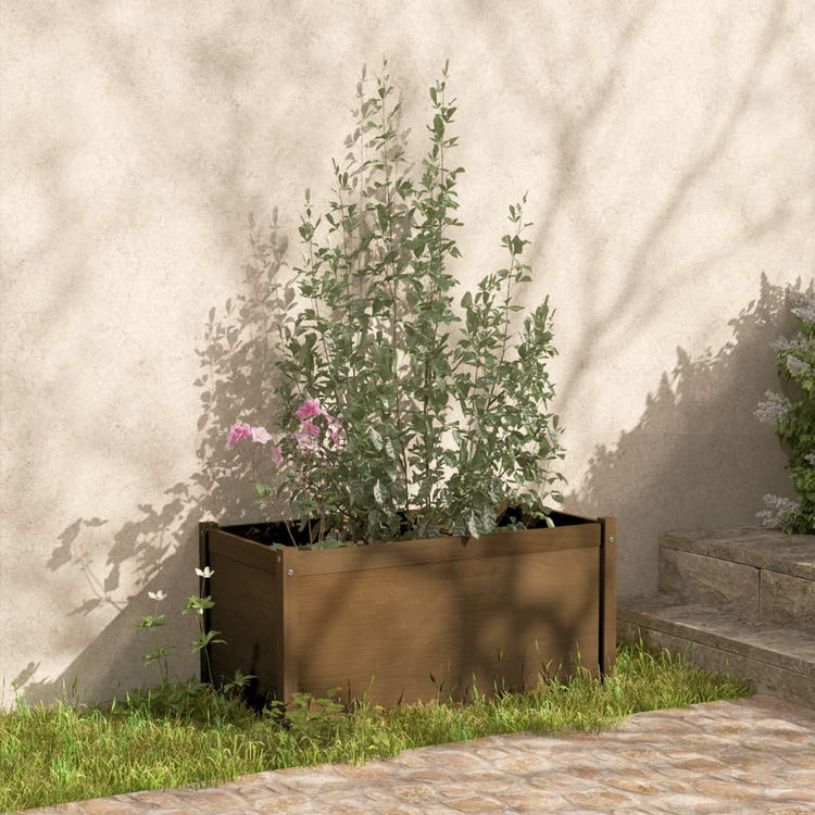 VidaXL Plantenbakken 2 st 100x50x50 cm massief grenenhout honingbruin