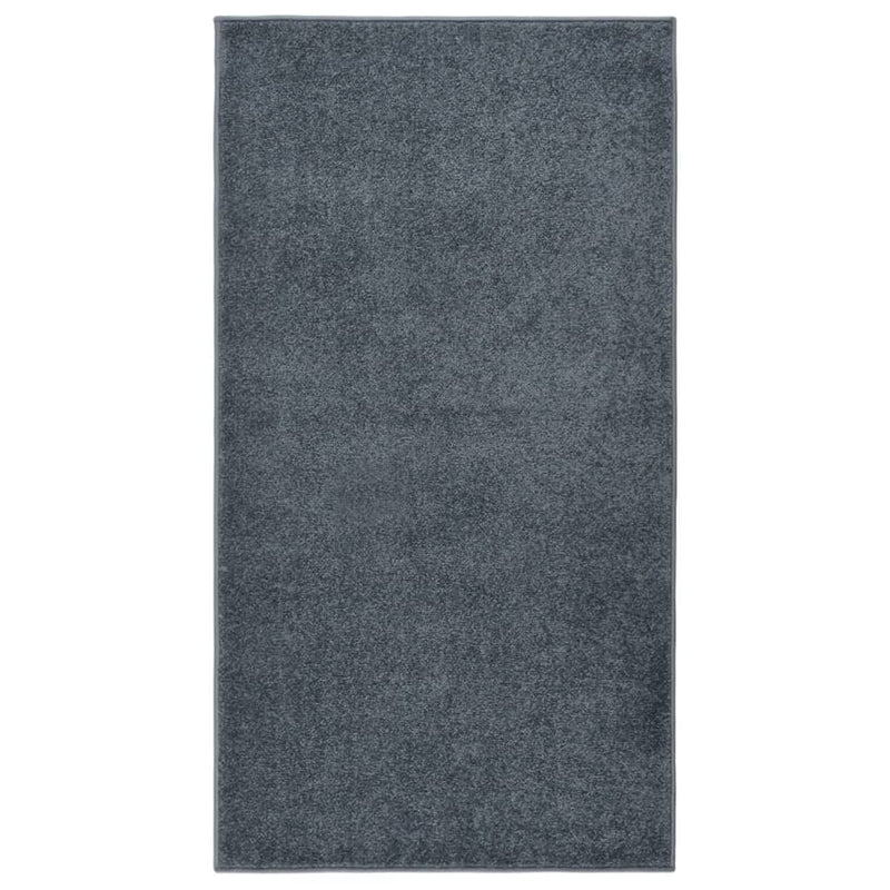 Vidaxl vloerkleed kortpolig 80x150 cm antracietkleurig