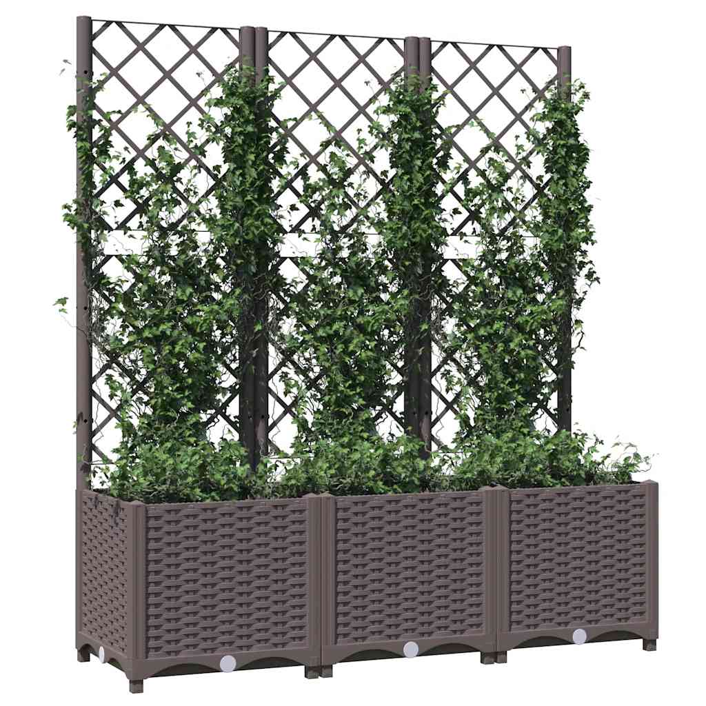 Vidaxl plantenbak met trellis bruin 120x40x136 cm pp