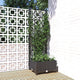 Vidaxl plantenbak met trellis zwart 40x40x121,5 cm pp