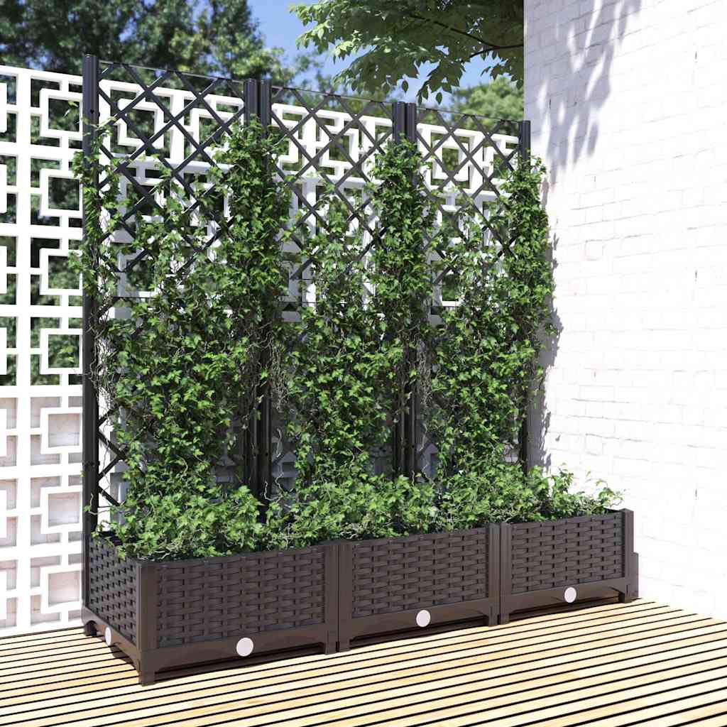 Vidaxl plantenbak met trellis zwart 120x40x121,5 cm pp