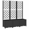 Vidaxl plantenbak met trellis zwart 120x40x136 cm pp