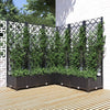 Vidaxl plantenbak met latwerk 120x120x121,5 cm polypropeen zwart