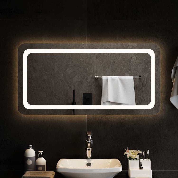 Vidaxl badkamerspiegel led 100x50 cm